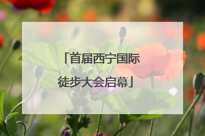 首届西宁国际徒步大会启幕