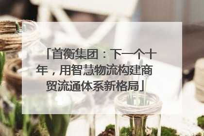首衡集团：下一个十年，用智慧物流构建商贸流通体系新格局
