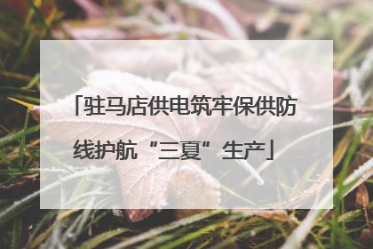 驻马店供电筑牢保供防线护航“三夏”生产