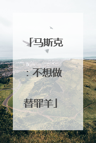 马斯克：不想做替罪羊