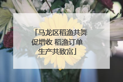 马龙区稻渔共舞促增收 稻渔订单生产共致富