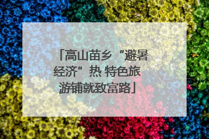 高山苗乡“避暑经济”热 特色旅游铺就致富路