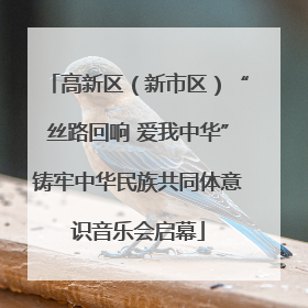 高新区（新市区）“丝路回响 爱我中华”铸牢中华民族共同体意识音乐会启幕