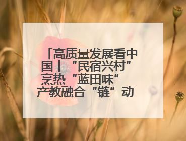 高质量发展看中国丨“民宿兴村”烹热“蓝田味” 产教融合“链”动发展新引擎