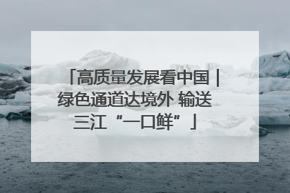 高质量发展看中国｜绿色通道达境外 输送三江“一口鲜”