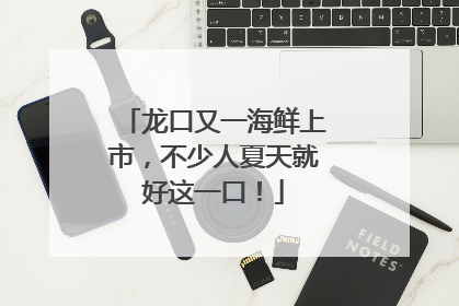 龙口又一海鲜上市，不少人夏天就好这一口！