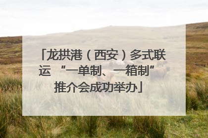 龙拱港（西安）多式联运 “一单制、一箱制” 推介会成功举办