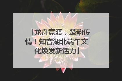 龙舟竞渡，楚韵传情！知音湖北端午文化焕发新活力