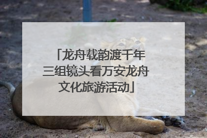 龙舟载韵渡千年 三组镜头看万安龙舟文化旅游活动