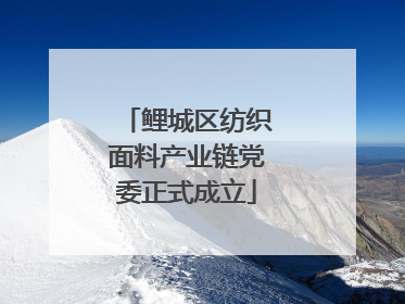 鲤城区纺织面料产业链党委正式成立