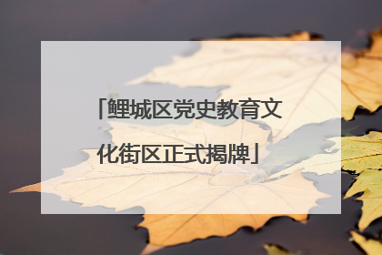 鲤城区党史教育文化街区正式揭牌
