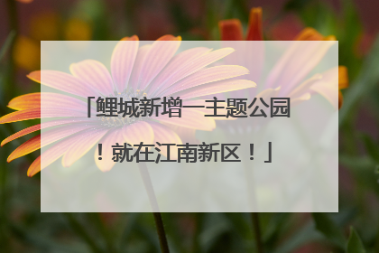 鲤城新增一主题公园！就在江南新区！
