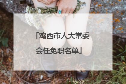 鸡西市人大常委会任免职名单