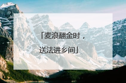 麦浪翻金时，送法进乡间