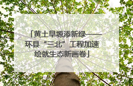 黄土旱塬添新绿——环县“三北”工程加速绘就生态新画卷