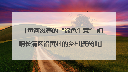 黄河滋养的“绿色生意” 唱响长清区沿黄村的乡村振兴曲