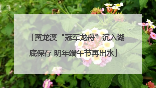 黄龙溪“冠军龙舟”沉入湖底保存 明年端午节再出水