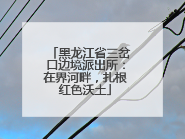 黑龙江省三岔口边境派出所：在界河畔，扎根红色沃土