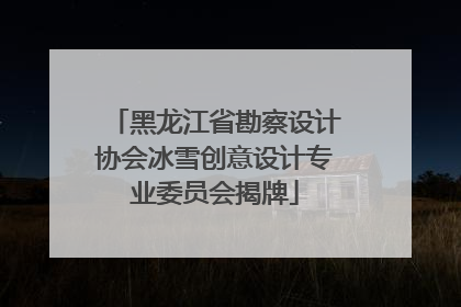 黑龙江省勘察设计协会冰雪创意设计专业委员会揭牌