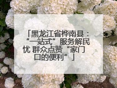 黑龙江省桦南县：“一站式”服务解民忧 群众点赞“家门口的便利”