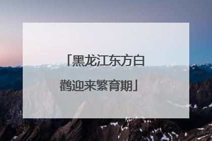 黑龙江东方白鹳迎来繁育期