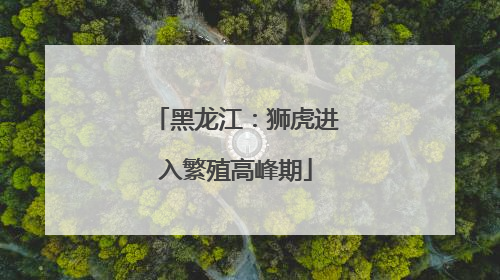 黑龙江：狮虎进入繁殖高峰期