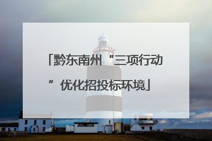 黔东南州“三项行动”优化招投标环境