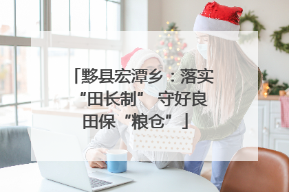 黟县宏潭乡：落实“田长制” 守好良田保“粮仓”