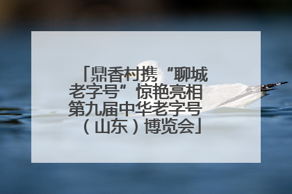 鼎香村携“聊城老字号”惊艳亮相第九届中华老字号（山东）博览会