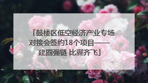 鼓楼区低空经济产业专场对接会签约18个项目——建圈强链 比翼齐飞