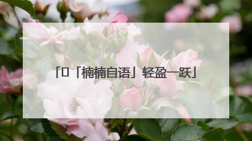 ﻿「楠楠自语」轻盈一跃