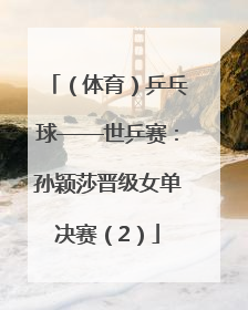 （体育）乒乓球——世乒赛：孙颖莎晋级女单决赛（2）