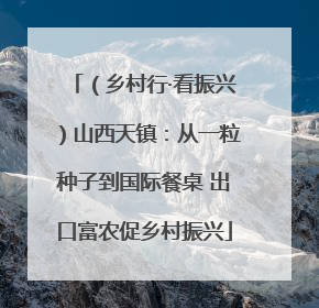 （乡村行·看振兴）山西天镇：从一粒种子到国际餐桌 出口富农促乡村振兴