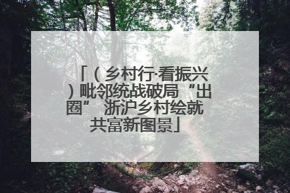 （乡村行·看振兴）毗邻统战破局“出圈” 浙沪乡村绘就共富新图景