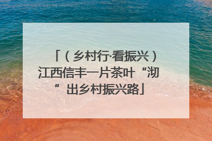 （乡村行·看振兴）江西信丰一片茶叶“沏”出乡村振兴路