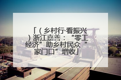 （乡村行·看振兴）浙江嘉善：“零工经济”助乡村民众“家门口”增收