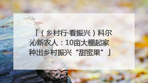 （乡村行·看振兴）科尔沁新农人：10亩大棚起家种出乡村振兴“甜蜜果”