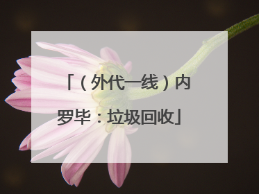 （外代一线）内罗毕：垃圾回收