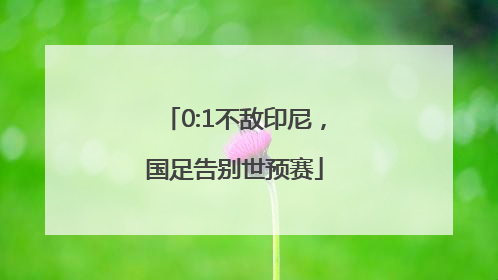 0:1不敌印尼，国足告别世预赛