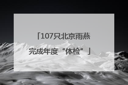 107只北京雨燕完成年度“体检”