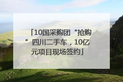 10国采购团“抢购”四川二手车，10亿元项目现场签约