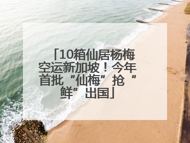 10箱仙居杨梅空运新加坡！今年首批“仙梅”抢“鲜”出国