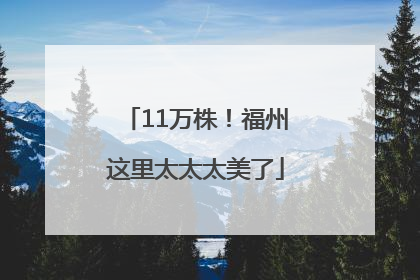 11万株！福州这里太太太美了