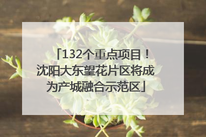 132个重点项目！沈阳大东望花片区将成为产城融合示范区