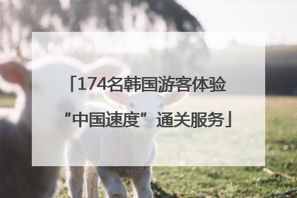 174名韩国游客体验“中国速度”通关服务