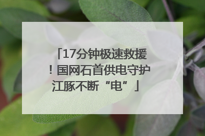 17分钟极速救援！国网石首供电守护江豚不断“电”