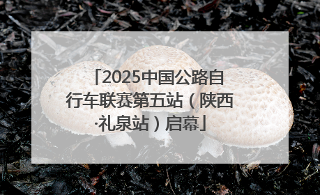 2025中国公路自行车联赛第五站（陕西·礼泉站）启幕