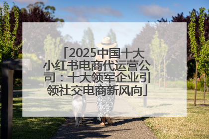 2025中国十大小红书电商代运营公司：十大领军企业引领社交电商新风向