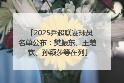 2025乒超联赛球员名单公布：樊振东、王楚钦、孙颖莎等在列