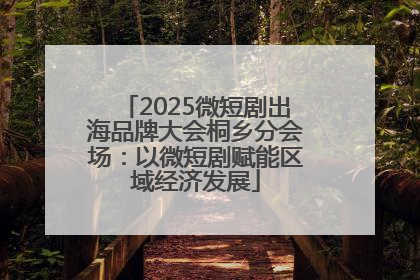 2025微短剧出海品牌大会桐乡分会场：以微短剧赋能区域经济发展
